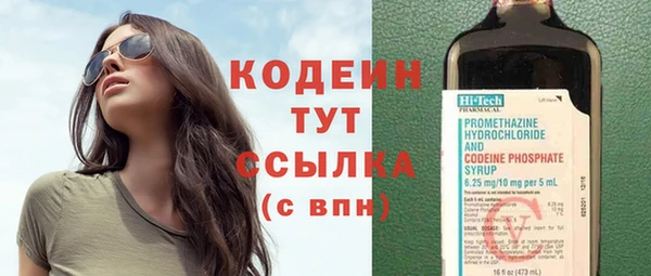 мяу мяу мука Гусев