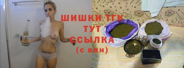 ПСИЛОЦИБИНОВЫЕ ГРИБЫ Гусь-Хрустальный