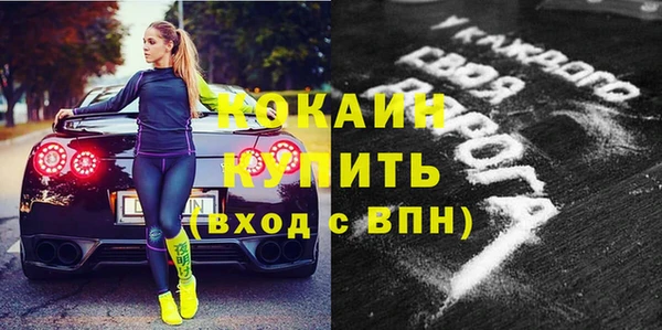 ПСИЛОЦИБИНОВЫЕ ГРИБЫ Гусь-Хрустальный