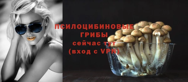 ПСИЛОЦИБИНОВЫЕ ГРИБЫ Гусь-Хрустальный