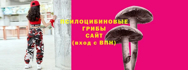 ПСИЛОЦИБИНОВЫЕ ГРИБЫ Гусь-Хрустальный
