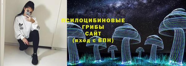 мдпв Гусиноозёрск