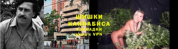 мяу мяу мука Гусев