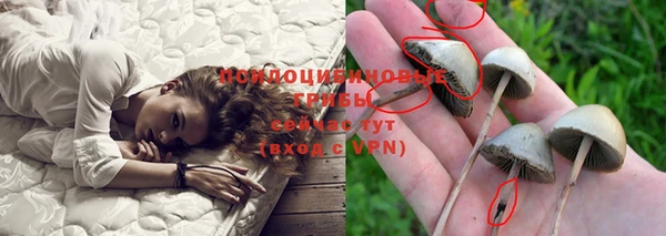 ПСИЛОЦИБИНОВЫЕ ГРИБЫ Гусь-Хрустальный